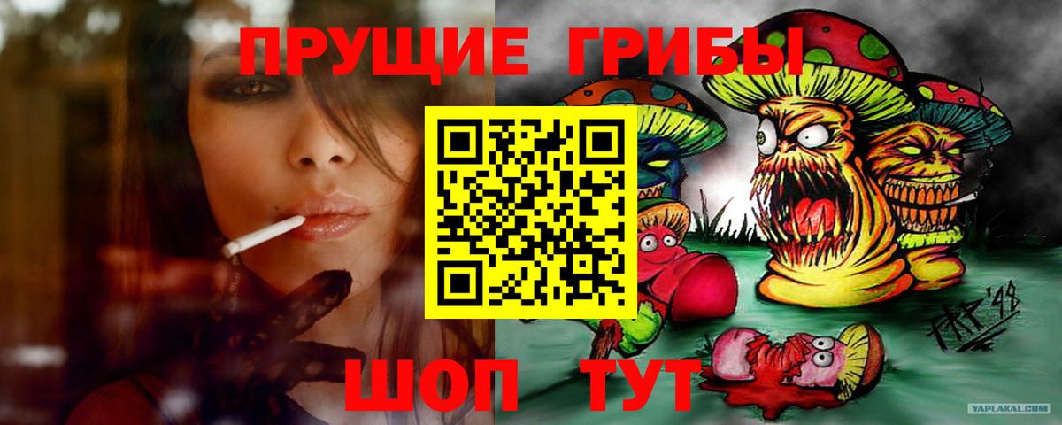 Большой Камень  Псилоцибиновые грибы Magic Shrooms  Вход с VPN 